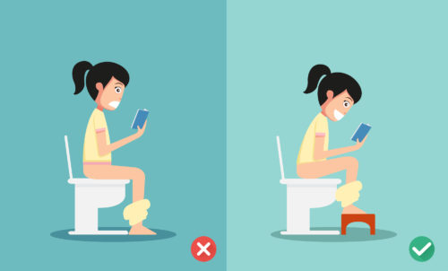 toilet posture